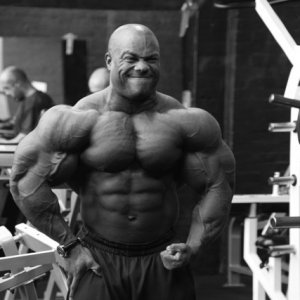 2013 Bodybuilding Images