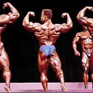 2013 Bodybuilding Images