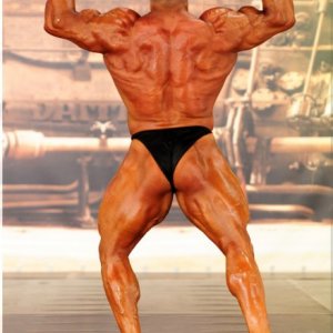 2013 Bodybuilding Images