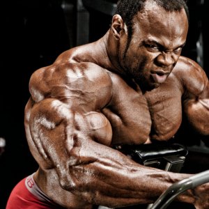 2013 Bodybuilding Images