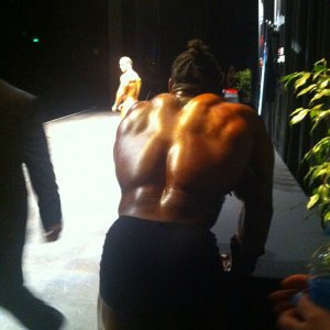 2013 Bodybuilding Images