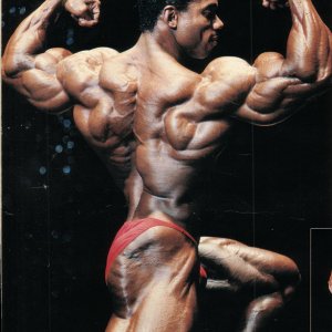 2013 Bodybuilding Images