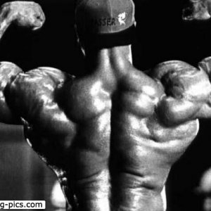 2013 Bodybuilding Images