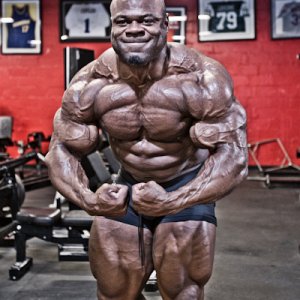 2013 Bodybuilding Images