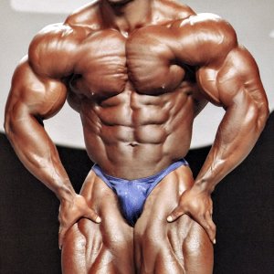 2013 Bodybuilding Images