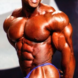 2013 Bodybuilding Images