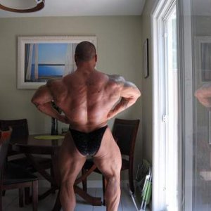 2013 Bodybuilding Images