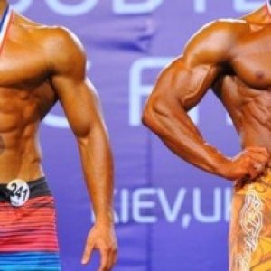 2013 Bodybuilding Images