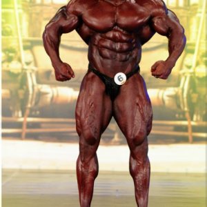 2013 Bodybuilding Images