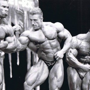 2013 Bodybuilding Images