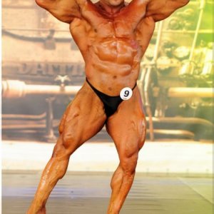 2013 Bodybuilding Images