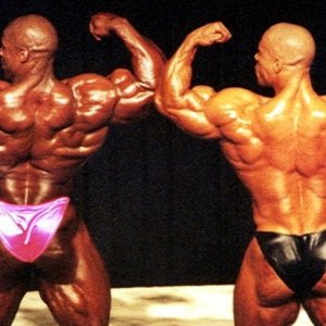 2013 Bodybuilding Images