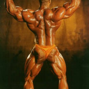 2013 Bodybuilding Images