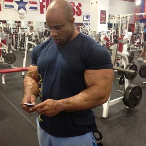 2013 Bodybuilding Images