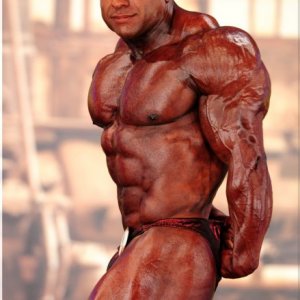 2013 Bodybuilding Images