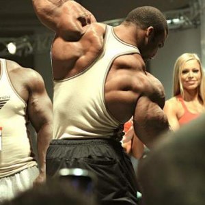 2013 Bodybuilding Images