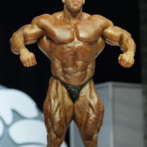 2013 Bodybuilding Images