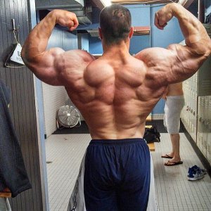 2013 Bodybuilding Images