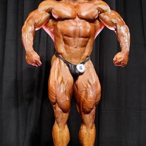 2013 Bodybuilding Images