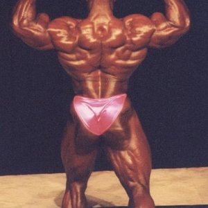 2013 Bodybuilding Images