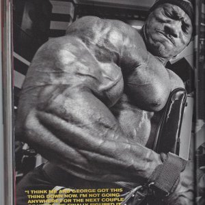 2013 Bodybuilding Images