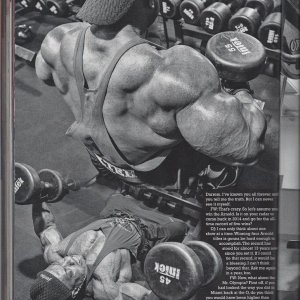 2013 Bodybuilding Images