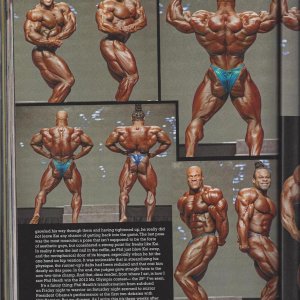 2013 Bodybuilding Images