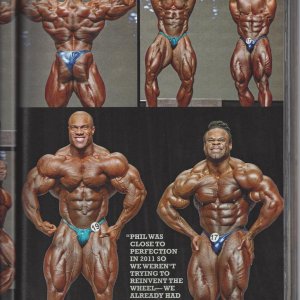 2013 Bodybuilding Images