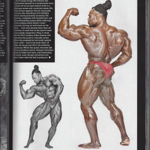 2013 Bodybuilding Images