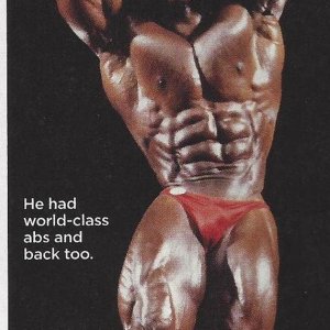 2013 Bodybuilding Images