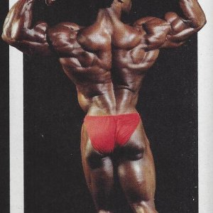 2013 Bodybuilding Images