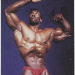 2013 Bodybuilding Images