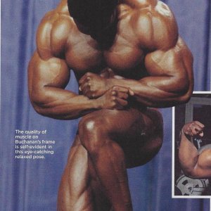 2013 Bodybuilding Images