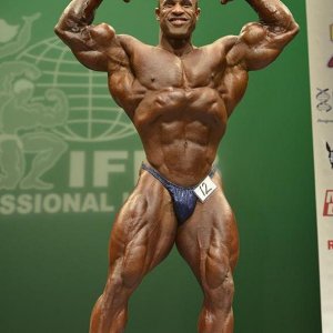 2013 Bodybuilding Images