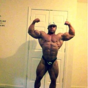 2013 Bodybuilding Images