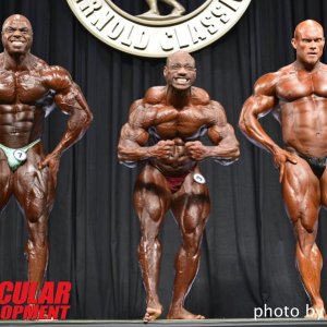 2013 Bodybuilding Images