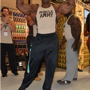 2013 Bodybuilding Images