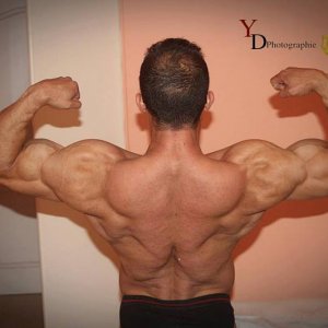 2013 Bodybuilding Images