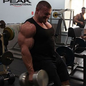 2013 Bodybuilding Images