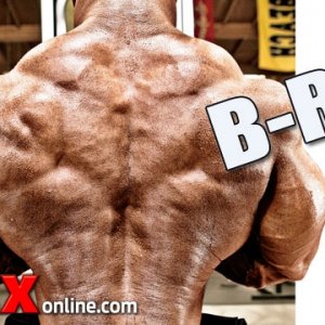 2013 Bodybuilding Images