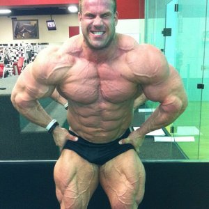 2013 Bodybuilding Images