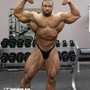 2013 Bodybuilding Images