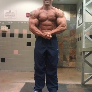 2013 Bodybuilding Images