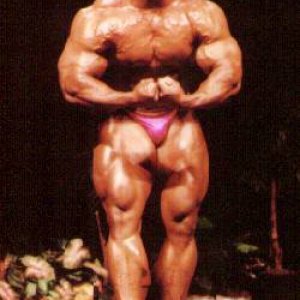 2013 Bodybuilding Images