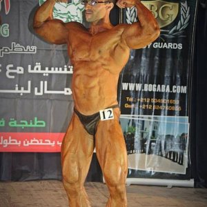 2013 Bodybuilding Images