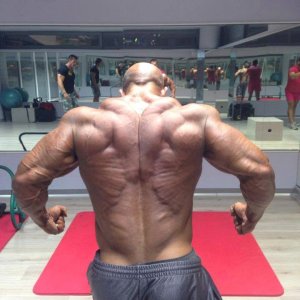 2013 Bodybuilding Images