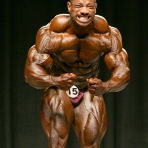 2013 Bodybuilding Images