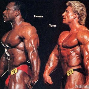 2013 Bodybuilding Images