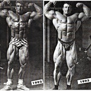 2013 Bodybuilding Images