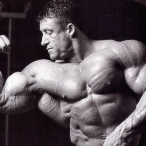 2013 Bodybuilding Images